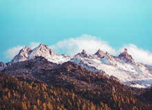 张德顺刷新中国女子10公里路跑最好成绩